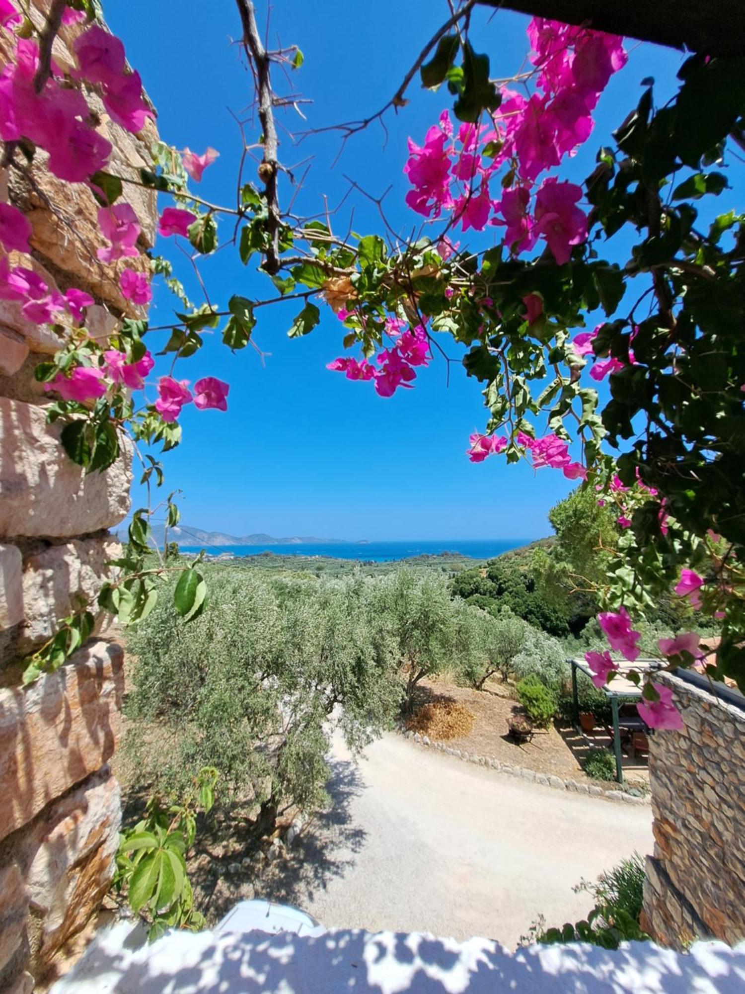 Tsivouli Accommodation Lithakia  Exterior foto